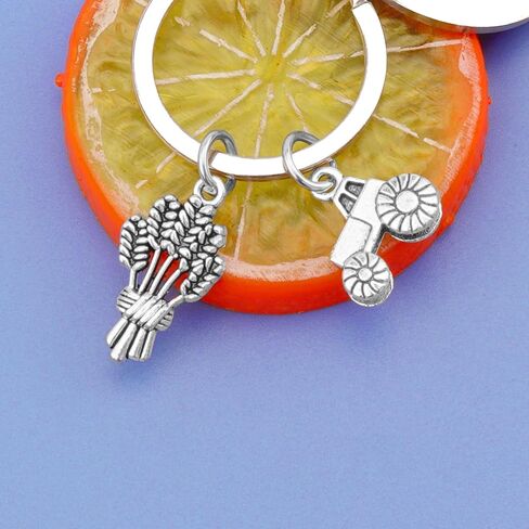 Funny Farmer Gifts for Men Women Rancher Gift Farmer Birthday Present Keychain Farm Tractor Gift Peasantry Theme Present Farm Lover Presents in Saudi Arabia