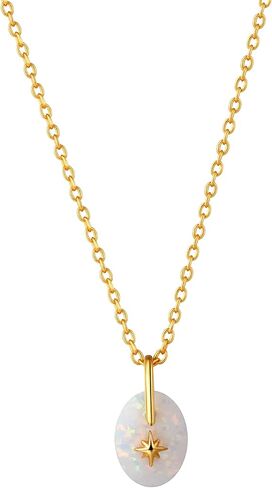 CAITLYNMINIMALIST 18K Gold Plated Sterling Silver North Star Birthstone Signet Mini Charm Gemstone Pendant Necklace Gift for Her in Saudi Arabia