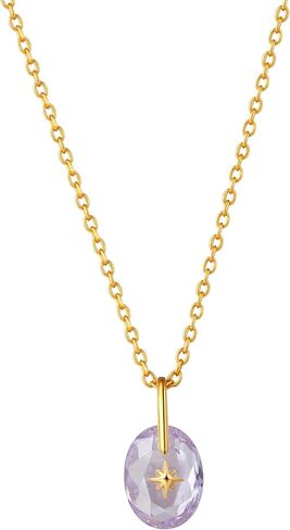 CAITLYNMINIMALIST 18K Gold Plated Sterling Silver North Star Birthstone Signet Mini Charm Gemstone Pendant Necklace Gift for Her in Saudi Arabia
