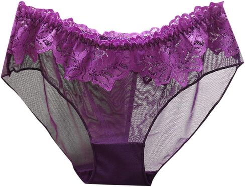 Sexy Panties for Women Ice Silk Sheer Lace See Through Underwear Ladies Low Rise Boyshort Brief 2025 in Saudi Arabia