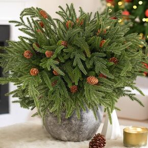 RICHMYC Christmas Branches 17.7 Inch 6 Pcs Norfolk Pine Stems, Artificial Cedar Pine Stems Faux Greenery Pinecone Picks for Vase DIY Garland Wreath Christmas Decoration in Saudi Arabia