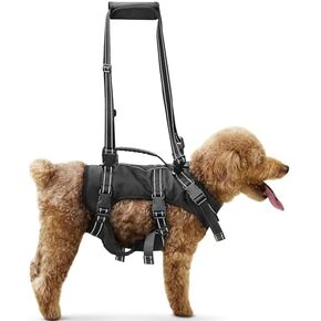 BENCMATE Dog Harness, Dog Lift Harness, Multipurpose Designed Harness with Reflective Strips, Dog Rehabilitation Lifts Vest for Old, Disabled, Joint Injuries, Arthritis, Paralysis Dogs(Medium)