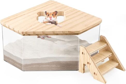 حاوية صندوق حمام الرمل من Quxddy Hamster، حمام الهامستر الرملي، حمام الهامستر الرملي، حمام الغبار الهامستر، صندوق فضلات الهامستر، ملحقات حمام الهامستر الغبار شينشيلا (البنتاغون + السلم) (البنتاغون + السلم) in Kuwait