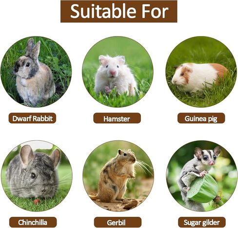 cawuwe شينشيلا قفص الملحقات جسر تعليق خشبي للحيوانات الصغيرة مع 3 منصة تسلق معلقة لعبة الهامستر الكبيرة للأقفاص، وموئل لطائرات شراعية السكر خنزير غينيا والفئران والسنجاب in Kuwait