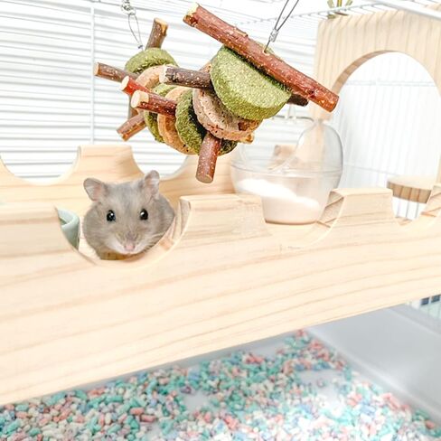 cawuwe شينشيلا قفص الملحقات جسر تعليق خشبي للحيوانات الصغيرة مع 3 منصة تسلق معلقة لعبة الهامستر الكبيرة للأقفاص، وموئل لطائرات شراعية السكر خنزير غينيا والفئران والسنجاب in Kuwait