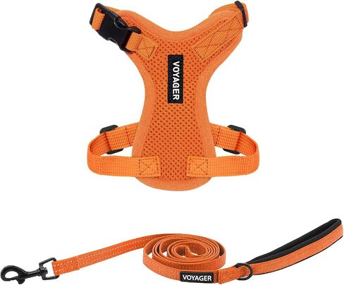 Voyager Step-in Lock Adjustable Cat Harness w. Cat Leash Combo Set with Neoprene Handle 5ft - Supports Small, Medium and Large Breed Cats by Best Pet Supplies - Orange, XXXS in Saudi Arabia