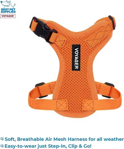 Voyager Step-in Lock Adjustable Cat Harness w. Cat Leash Combo Set with Neoprene Handle 5ft - Supports Small, Medium and Large Breed Cats by Best Pet Supplies - Orange, XXXS in Saudi Arabia