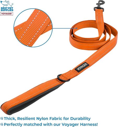 Voyager Step-in Lock Adjustable Cat Harness w. Cat Leash Combo Set with Neoprene Handle 5ft - Supports Small, Medium and Large Breed Cats by Best Pet Supplies - Orange, XXXS in Saudi Arabia