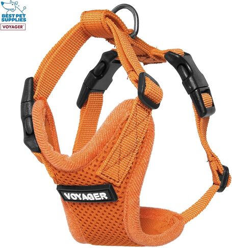 Voyager Step-in Lock Adjustable Cat Harness w. Cat Leash Combo Set with Neoprene Handle 5ft - Supports Small, Medium and Large Breed Cats by Best Pet Supplies - Orange, XXXS in Saudi Arabia
