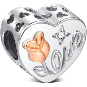 BOIGEGU 925 Sterling Silver Charm for Pandora Bracelet Rose Flower Necklace Charms Couple Mom Valentine's Day Jewellery for Women Wife in Kuwait