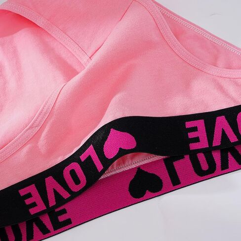 6-Pack Women's Cotton Briefs, Everyday Essential Soft & Breathable Underwear for Ladies, Multi-Color in Saudi Arabia