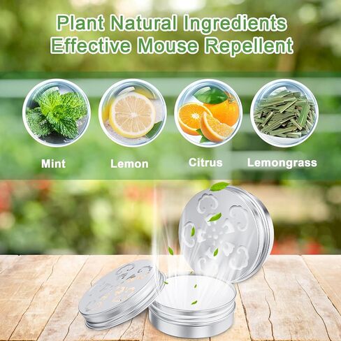 6 عبوات طارد الفئران لمحركات السيارات، زيت النعناع لطرد الفئران والجرذان، يبقي القوارض خارج السيارة طارد الفئران للفئران المنزلية في الهواء الطلق in Kuwait