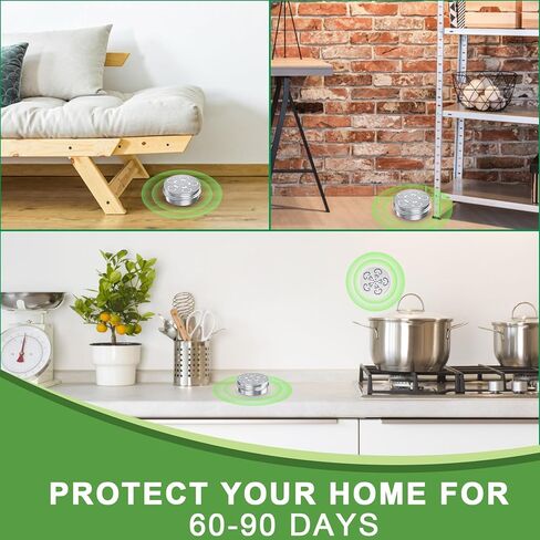 6 عبوات طارد الفئران لمحركات السيارات، زيت النعناع لطرد الفئران والجرذان، يبقي القوارض خارج السيارة طارد الفئران للفئران المنزلية في الهواء الطلق in Kuwait