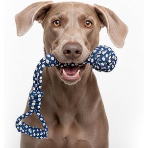 My Pet & Me - لعبة دائمة من 4 عقدة حبل الكلب - مثالية للجرى والمضغات الصعبة - لعبة Cog Chew Toy من أجل Tug of War ، واللعب التفاعلي - ألعاب التسنين للجرو والكلاب in Kuwait