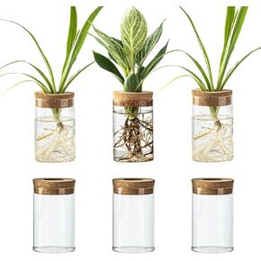 Snminetal Glass Plant Propagation Station Set of 6, Modern Desktop Flower Vase for Succulent Cuttings, Home Office Decoration, Ideal Housewarming Gift for Living Room, Bedroom in Saudi Arabia