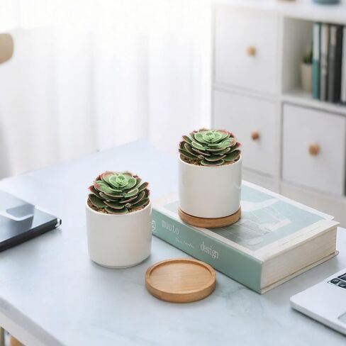 Gcrdplat 2Pcs Artificial Succulent Plants, Lotus Flower Realistic Fake Succulents, Fake Plant for Garden Arrangement Decor, Autumn in Saudi Arabia