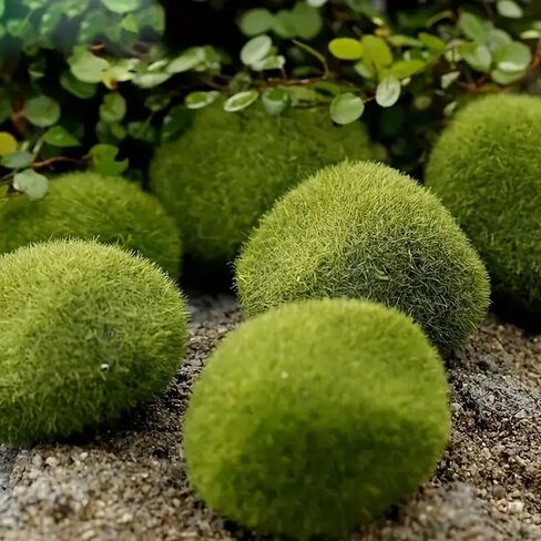 10PCS Artificial Moss Rocks, Scene Decor, Pet Hone Decor, Green Moss Decor for Fairy Gardens, Bonsai, Terrariums, Floral Arrangements; DIY Craft Projects, Green in Saudi Arabia
