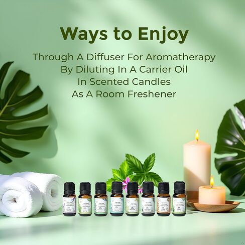 My ACE Pure Aromatherapy Pure Essential Oil Kit for Diffuser for Home, Candle Making Peppermint, Lavender, Eucalyptus, Tea Tree, Rosemary, Camphor, Lemongrass, Orange | 0.33 oz Each Set of 8 in Saudi Arabia