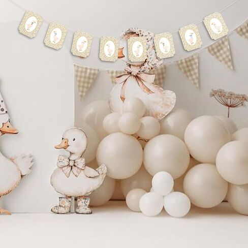 Gostman Goose Party Decoration Garland - Silly Goose Baby Shower Banner,Decorative Goose Theme Paper Banner, Farm Animals Party Decor (Goose Paper Banner) in Saudi Arabia
