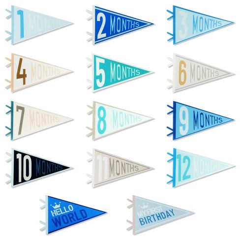 14PCS Baby Monthly Stage,Baby Felt Pennant Stage Signs Monthly,Felt Pennant Flags for Baby Girl & Boy,Month Signs for Newborn Photos and First Year Birthday Baby Shower Decor in Kuwait