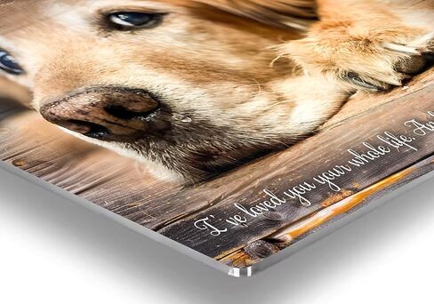 MUNDAZE Custom Pet Portrait Memorial Photo – Personalized Dog or Cat Loss Gift – Glossy Metal Print with Your Pet’s Photo – Sympathy Keepsake – Made and Shipped in USA in Saudi Arabia