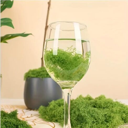 عشب طحلب صناعي يمكنك صنعه بنفسك منظر طبيعي صغير طحالب وهمية مواد بناء ديكور الحديقة (أخضر فاتح) in Saudi Arabia