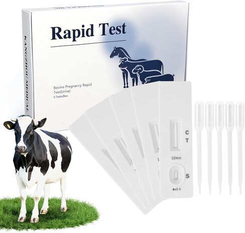 طقم اختبار الحمل البقري - 5 اختبارات للبول، نتائج سريعة في 5-15 دقيقة لأبقار الألبان ولحم البقر، اكتشاف مبكر دقيق بعد 18-90 يومًا من التكاثر in Kuwait