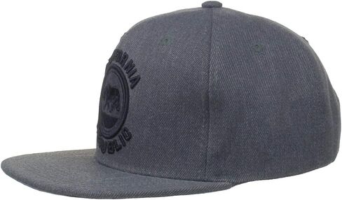قبعة مسطحة عصرية ذات مستوى عالٍ بشعار California Republic Bear Snapback 297 in Kuwait