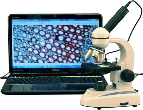 AmScope M149C-E2 مجهر أحادي العين مركب رقمي، عدسات WF10x وWF25x، تكبير 40x-1000x، إضاءة LED، Brightfield، مكثف أحادي العدسة، مرحلة عادية، 110 فولت أو يعمل بالبطارية، إطار معدني عالي التحمل، يتضمن كاميرا 2 ميجابكسل وبرامج in Kuwait
