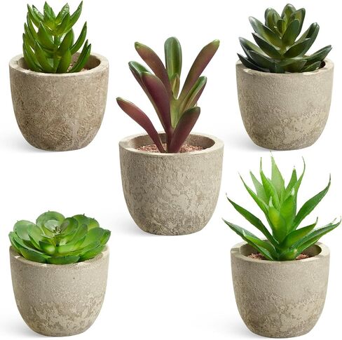 Dominow Artificial Succulent Plants in Pots, Set of 5 Mini Fake Succulents for Indoor Home Decor, Small Faux Potted Greenery for Office Desk, Shelf, Bathroom, or Modern Boho Rustic Room Decoration in Saudi Arabia