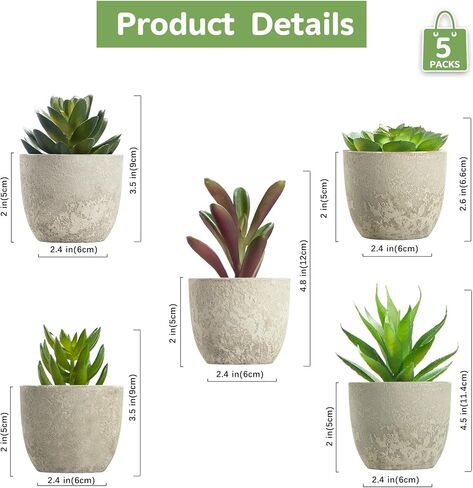 Dominow Artificial Succulent Plants in Pots, Set of 5 Mini Fake Succulents for Indoor Home Decor, Small Faux Potted Greenery for Office Desk, Shelf, Bathroom, or Modern Boho Rustic Room Decoration in Saudi Arabia