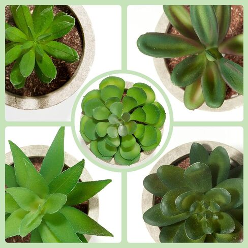 Dominow Artificial Succulent Plants in Pots, Set of 5 Mini Fake Succulents for Indoor Home Decor, Small Faux Potted Greenery for Office Desk, Shelf, Bathroom, or Modern Boho Rustic Room Decoration in Saudi Arabia