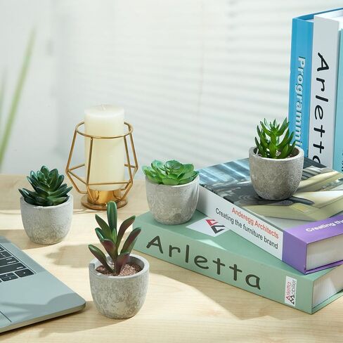 Dominow Artificial Succulent Plants in Pots, Set of 5 Mini Fake Succulents for Indoor Home Decor, Small Faux Potted Greenery for Office Desk, Shelf, Bathroom, or Modern Boho Rustic Room Decoration in Saudi Arabia