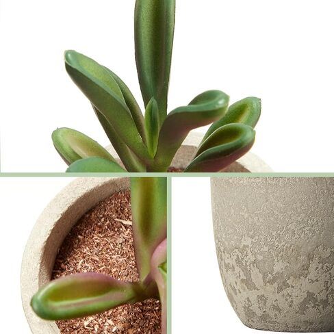 Dominow Artificial Succulent Plants in Pots, Set of 5 Mini Fake Succulents for Indoor Home Decor, Small Faux Potted Greenery for Office Desk, Shelf, Bathroom, or Modern Boho Rustic Room Decoration in Saudi Arabia