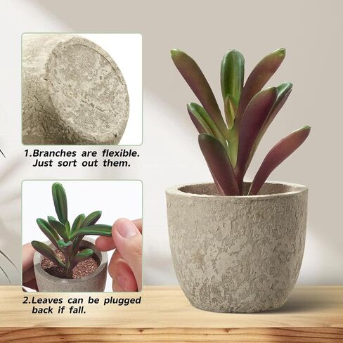 Dominow Artificial Succulent Plants in Pots, Set of 5 Mini Fake Succulents for Indoor Home Decor, Small Faux Potted Greenery for Office Desk, Shelf, Bathroom, or Modern Boho Rustic Room Decoration in Saudi Arabia