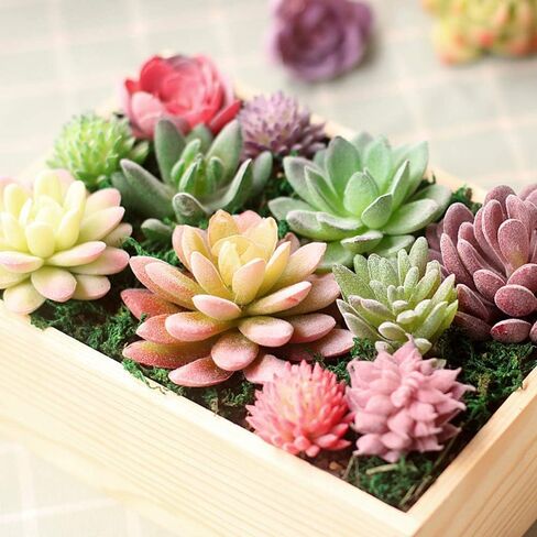 12 Pack Realistic Flocked Artificial Succulents, Faux Plastic Succulents Mini Fake Plants for Garden Craft, Cake, Party, Indoor/Outdoor Decor in Saudi Arabia
