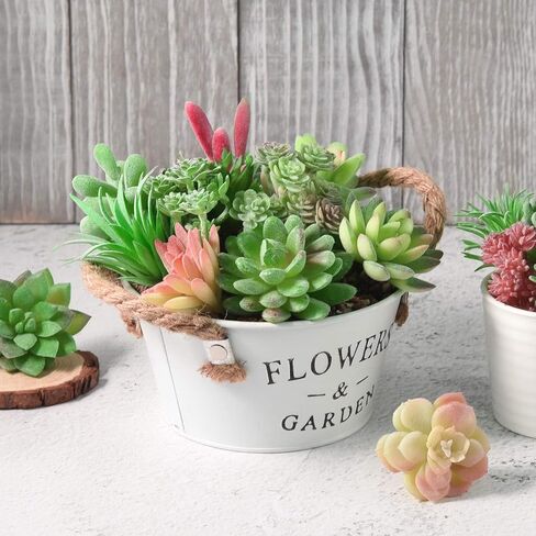 12 Pack Realistic Flocked Artificial Succulents, Faux Plastic Succulents Mini Fake Plants for Garden Craft, Cake, Party, Indoor/Outdoor Decor in Saudi Arabia