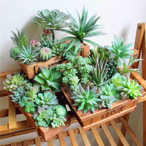 12 Pack Realistic Flocked Artificial Succulents, Faux Plastic Succulents Mini Fake Plants for Garden Craft, Cake, Party, Indoor/Outdoor Decor in Saudi Arabia
