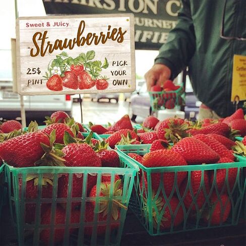 Sweet Juicy Strawberries Pick Your Own - Tin Sign Vintage Metal Funny Wall Art Decorations for Kitchen Home Fruit Market Farm Restaurants Dessert Shop Farmhouses(8"x12") in Saudi Arabia