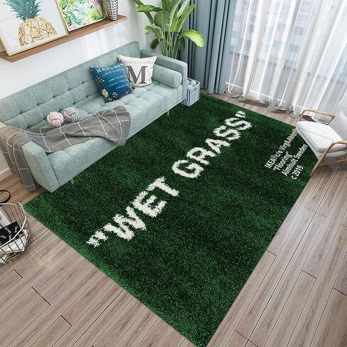 Keep Off Area Rug Green Rugs Modern Home Decor Polyester Carpet 3D Printed Large Pop Rug for Game Room Bedroom Living Room Non-Slip Floor Mat 3' x 4' in Saudi Arabia