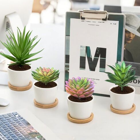 مجموعة نباتات عصارية صناعية مكونة من 4 قطع من Gcrdplat، نباتات عصارية مزيفة واقعية لديكور المنزل والحديقة والحفلات in Kuwait