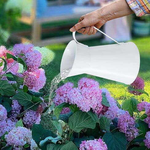 إبريق سقي معدني، مزهرية زهور على طراز المزرعة الكريمية، إبريق حليب مزخرف لديكور المنزل، ارتفاع 7.87 بوصة (أبيض) in Saudi Arabia