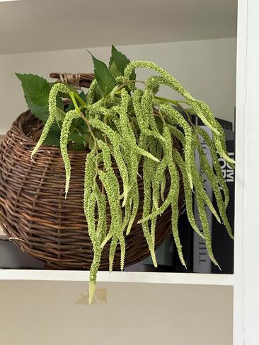 QFSH 3Pcs Artificial Amaranthus Flower Fake Hanging Green for Wedding Bouquets Home Decor Arrangement Photo Props Party Decoration 37''(Green) in Saudi Arabia