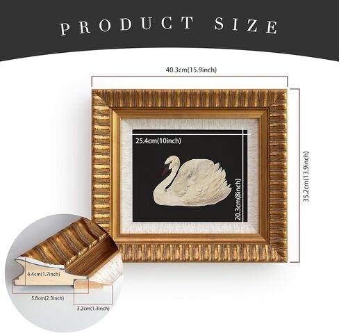 soochart الذهب الخشب مؤطرة قماش جدار الفن ديكور خمر، مطبوعات اللوحة البجعة السوداء، 8 "× 10" إطار الصورة لغرفة المعيشة الحمام غرفة نوم المطبخ، الزجاج المقسى in Saudi Arabia