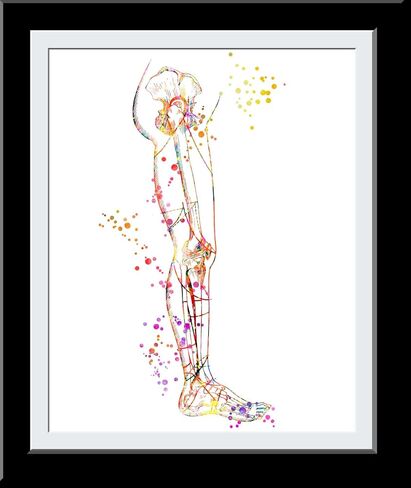 Leg Art Print Skeleton Leg Art Print, Medical Art work, Office decor, Doctor, Nurse, Hospital Pediatrics Chiropractor Wall Art Art Prints, Medical Gifts - UnFramed 8x10 inch in Saudi Arabia