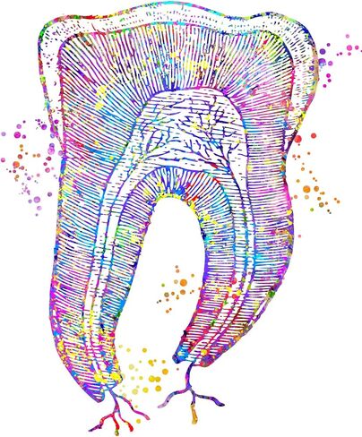 Dental Art Teeth Art Print Tooth Art Mouth Medical Art work, Office decor, Doctor, Nurse, Hospital Pediatrics Chiropractor Wall Art Art Prints, Medical Gifts - UnFramed 8x10 inch in Saudi Arabia