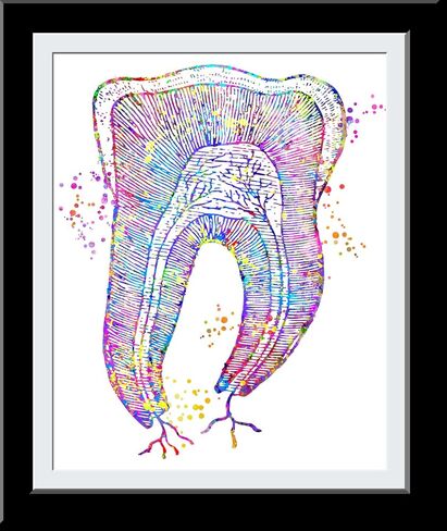Dental Art Teeth Art Print Tooth Art Mouth Medical Art work, Office decor, Doctor, Nurse, Hospital Pediatrics Chiropractor Wall Art Art Prints, Medical Gifts - UnFramed 8x10 inch in Saudi Arabia
