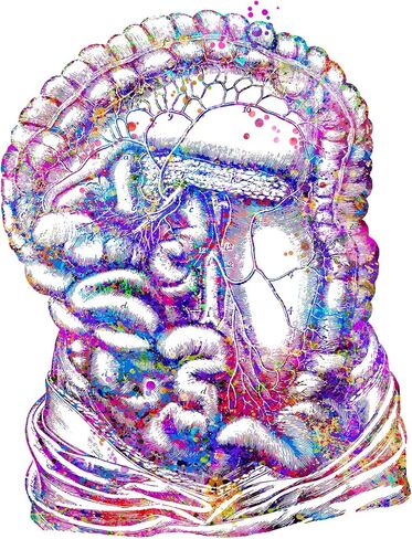 Body Art Prints Skeleton Art, Intestine Art Print, Medical Art work Office decor, Doctor, Nurse, Digital Prints, Art Prints, Medical Gifts - UnFramed 8x10 inch in Saudi Arabia