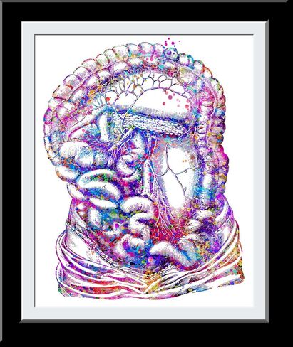 Body Art Prints Skeleton Art, Intestine Art Print, Medical Art work Office decor, Doctor, Nurse, Digital Prints, Art Prints, Medical Gifts - UnFramed 8x10 inch in Saudi Arabia