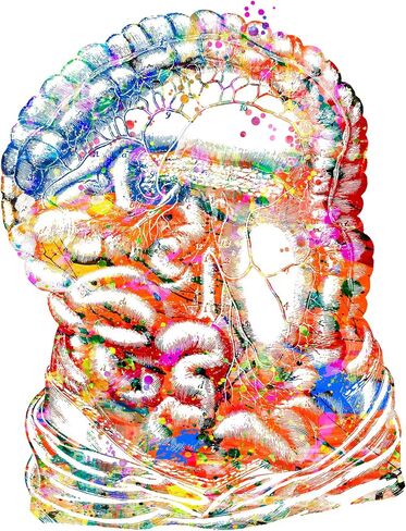 Intestine Art Print, Medical Art work Body Art Prints Skeleton Art, Office decor, Doctor, Nurse, Hospital Pediatrics Chiropractor Wall Art Art Prints, Medical Gifts - UnFramed 8x10 inch in Saudi Arabia
